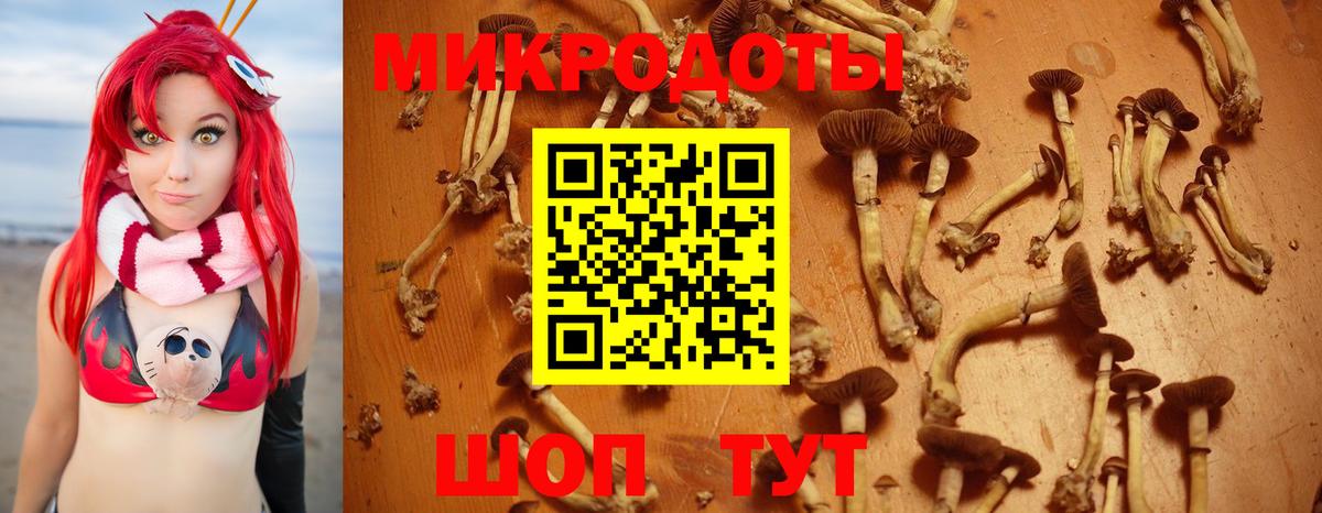 Псилоцибиновые грибы MAGIC MUSHROOMS  Вход с VPN  Добрянка 