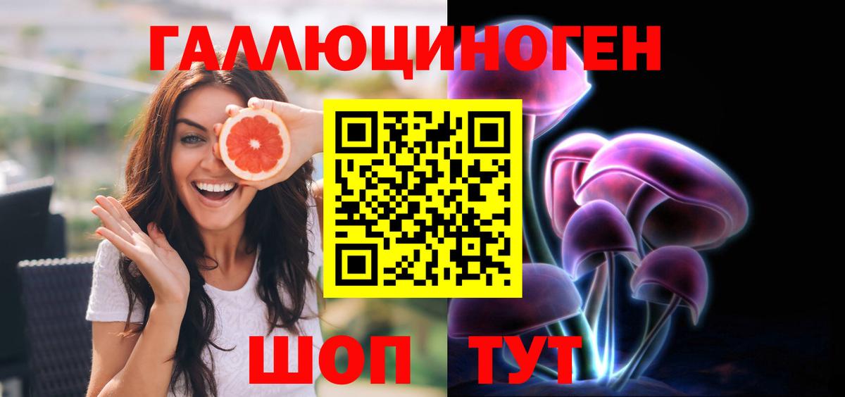 Галлюциногенные грибы Psilocybine cubensis Добрянка